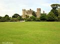 Malahide Castle particolare